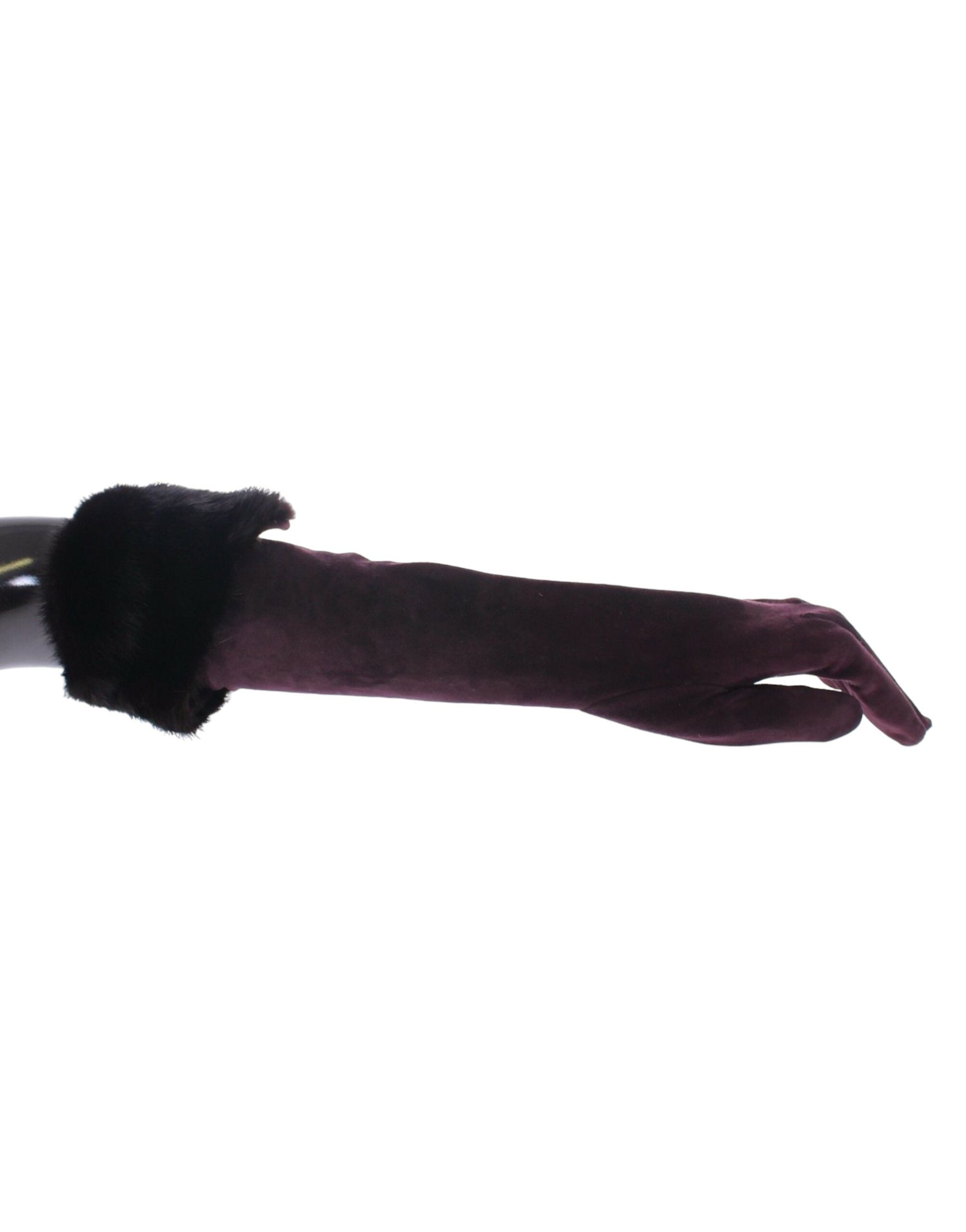 Dolce & Gabbana Elegant Elbow Length Purple Fur Gloves