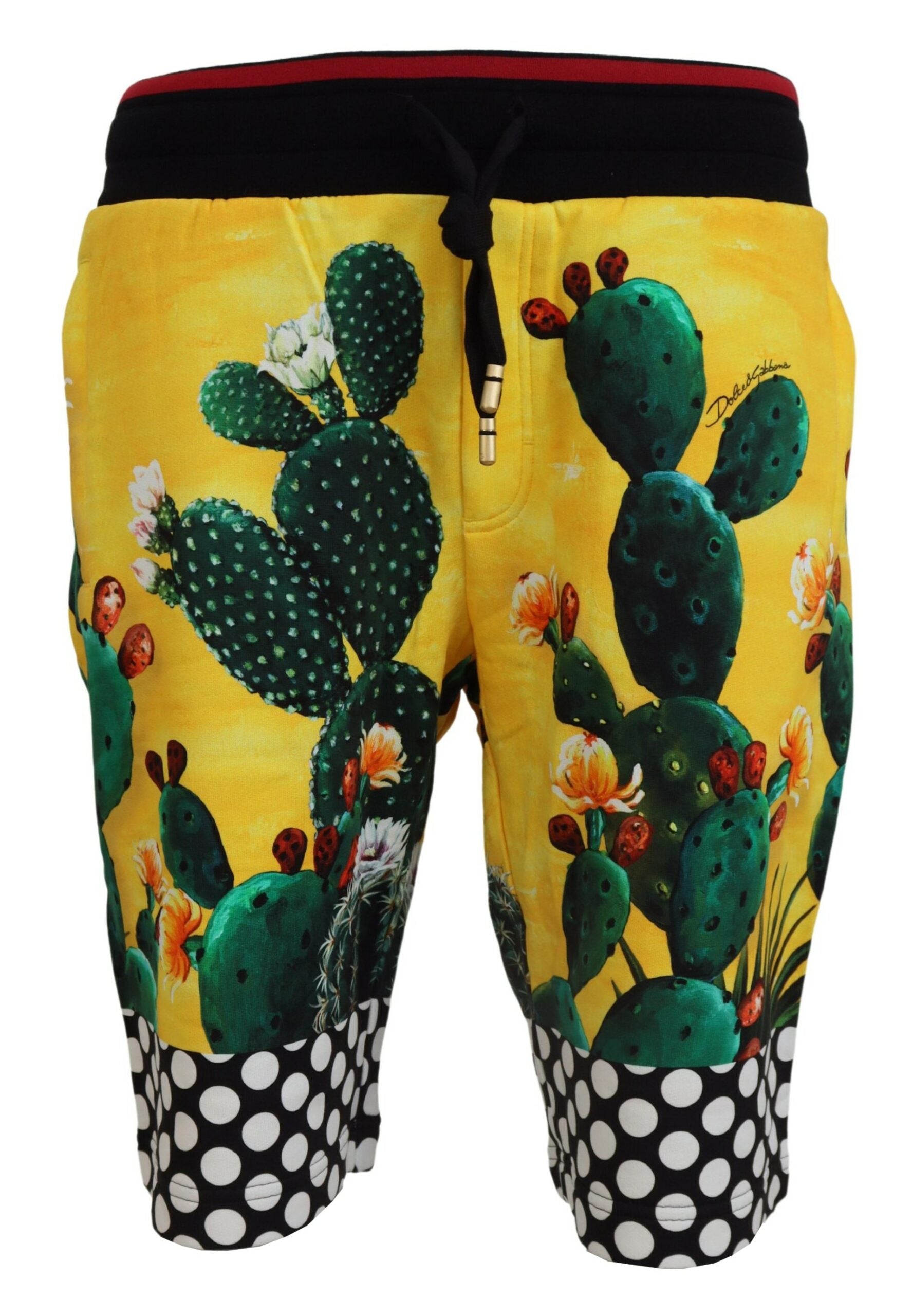 Dolce & Gabbana Multicolor Cactus Print Sweat Shorts