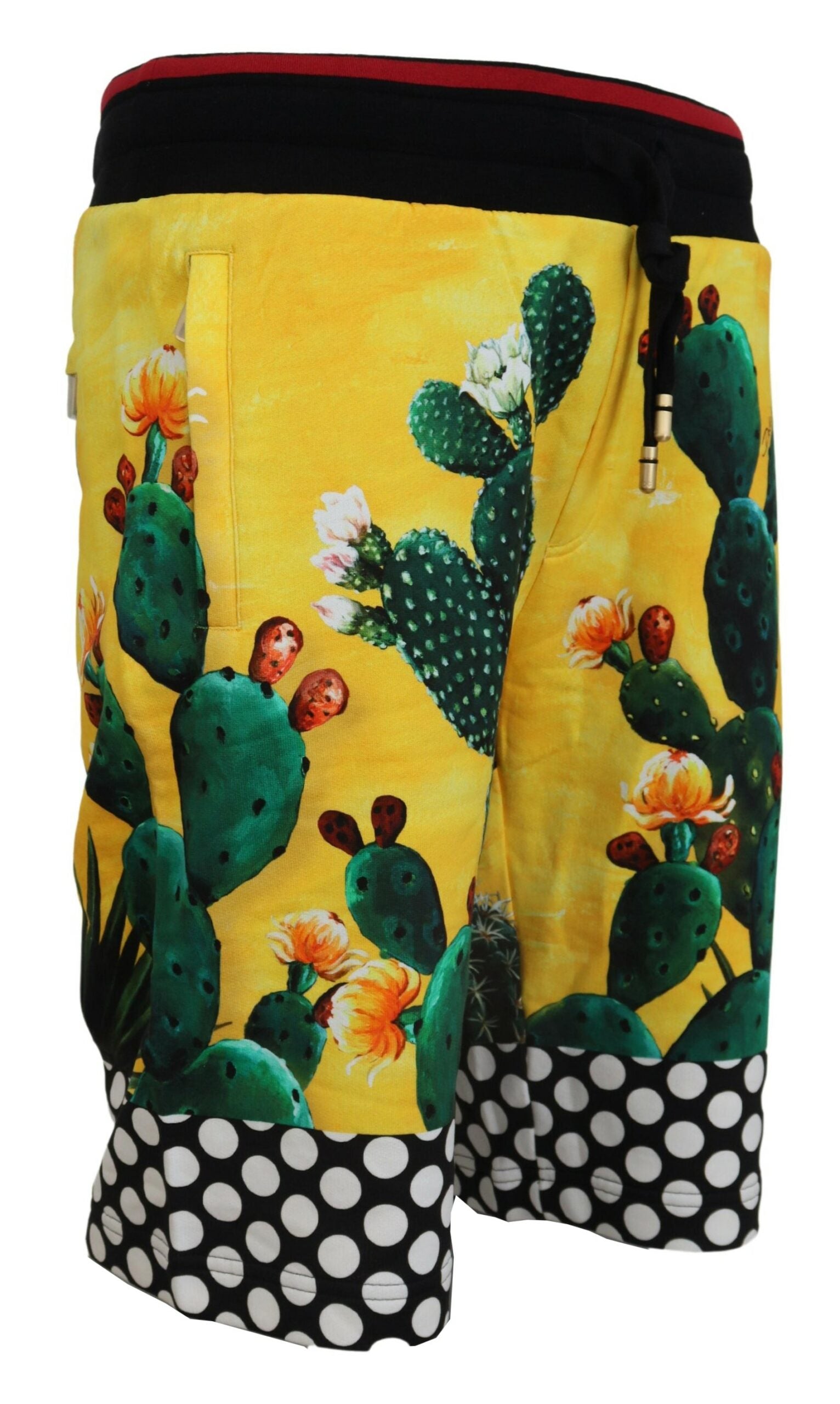 Dolce & Gabbana Multicolor Cactus Print Sweat Shorts