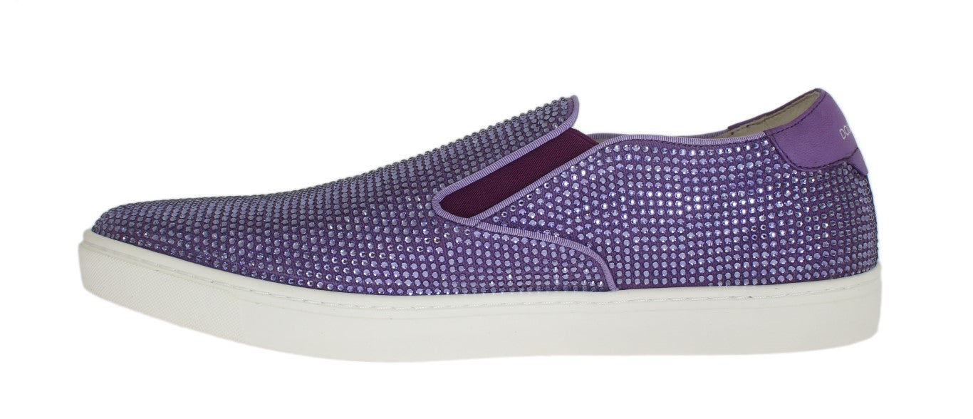 Dolce &amp; Gabbana Purple Strass Canvas лого маратонки