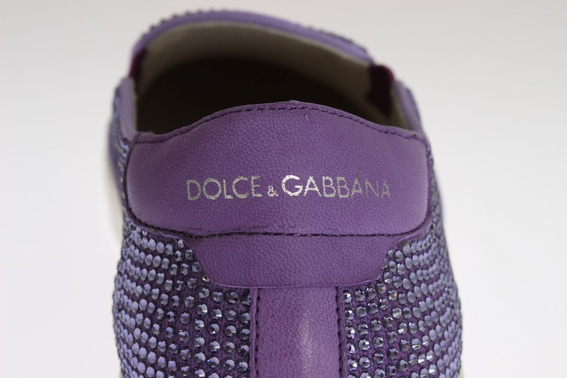 Dolce &amp; Gabbana Purple Strass Canvas лого маратонки