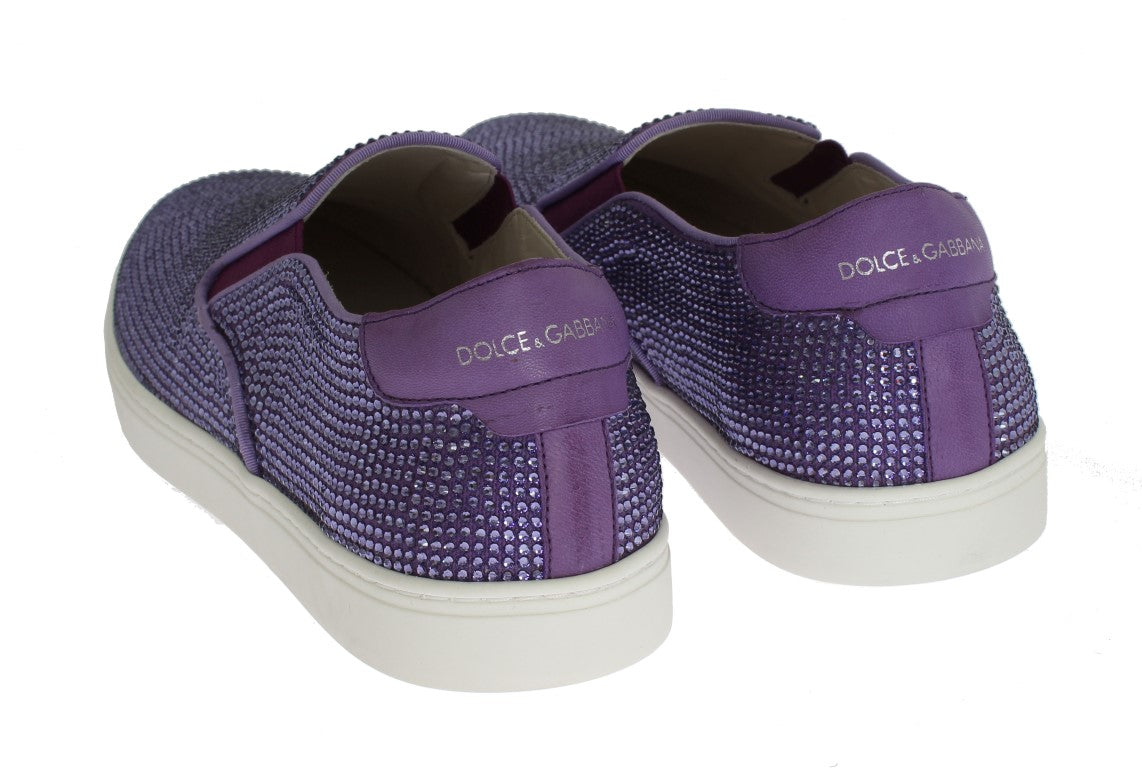 Dolce &amp; Gabbana Purple Strass Canvas лого маратонки