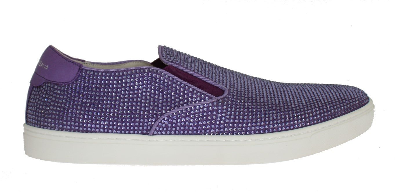 Dolce &amp; Gabbana Purple Strass Canvas лого маратонки